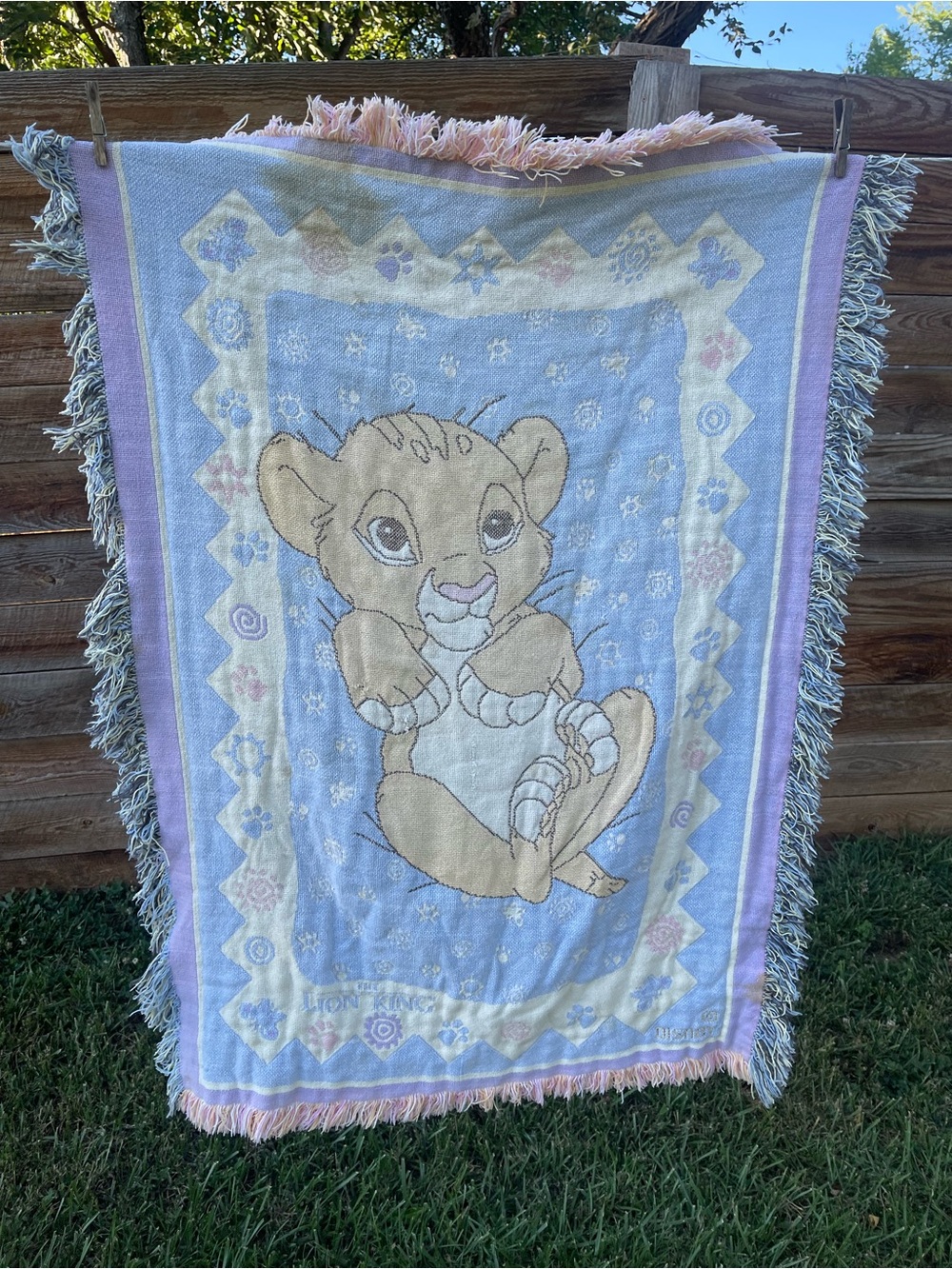 Vintage lion king blanket